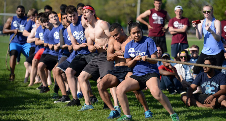 What is your favorite part about Springfest?