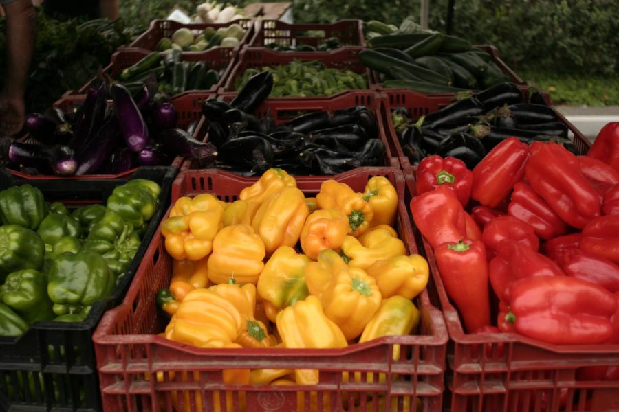 Produce options at a Farmers Market | Photo Credit: Justin Sewell, CC BY 2.0 | Link: https://www.flickr.com/photos/86805724@N00/3828791073