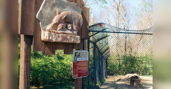 The Henson Robinson Zoo