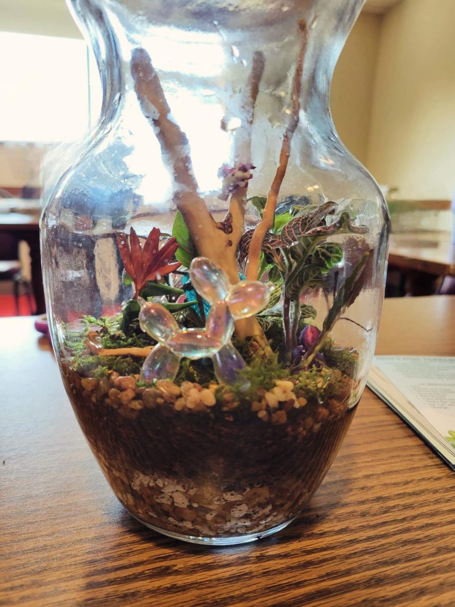 Terrarium Challenge #5