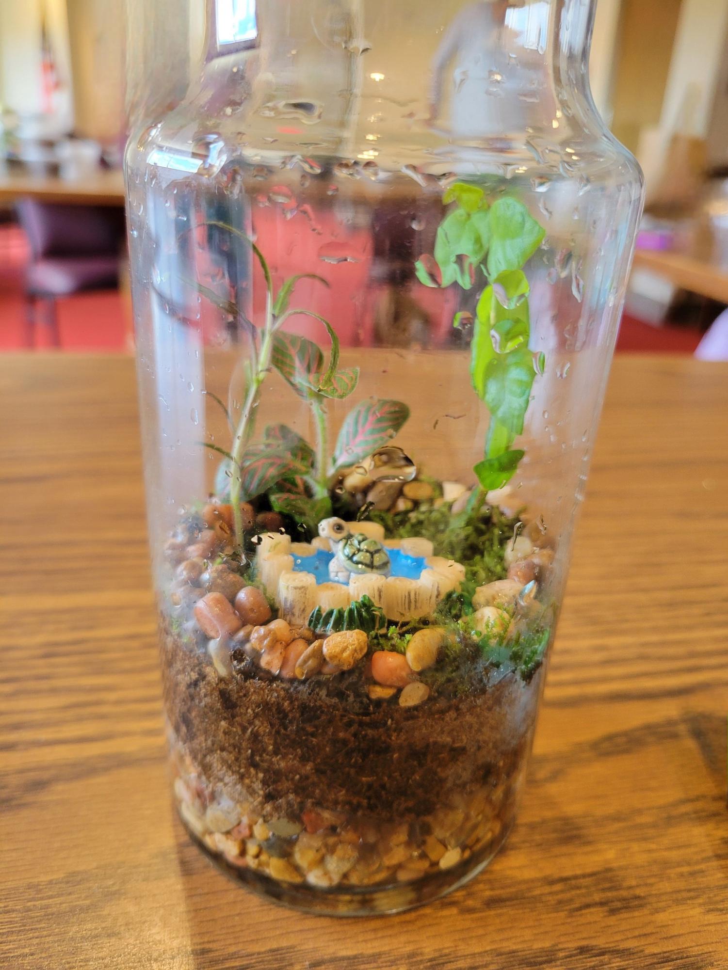 Terrarium Challenge 2