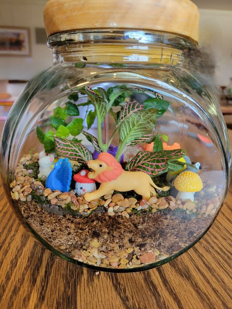 Terrarium Challenge 8