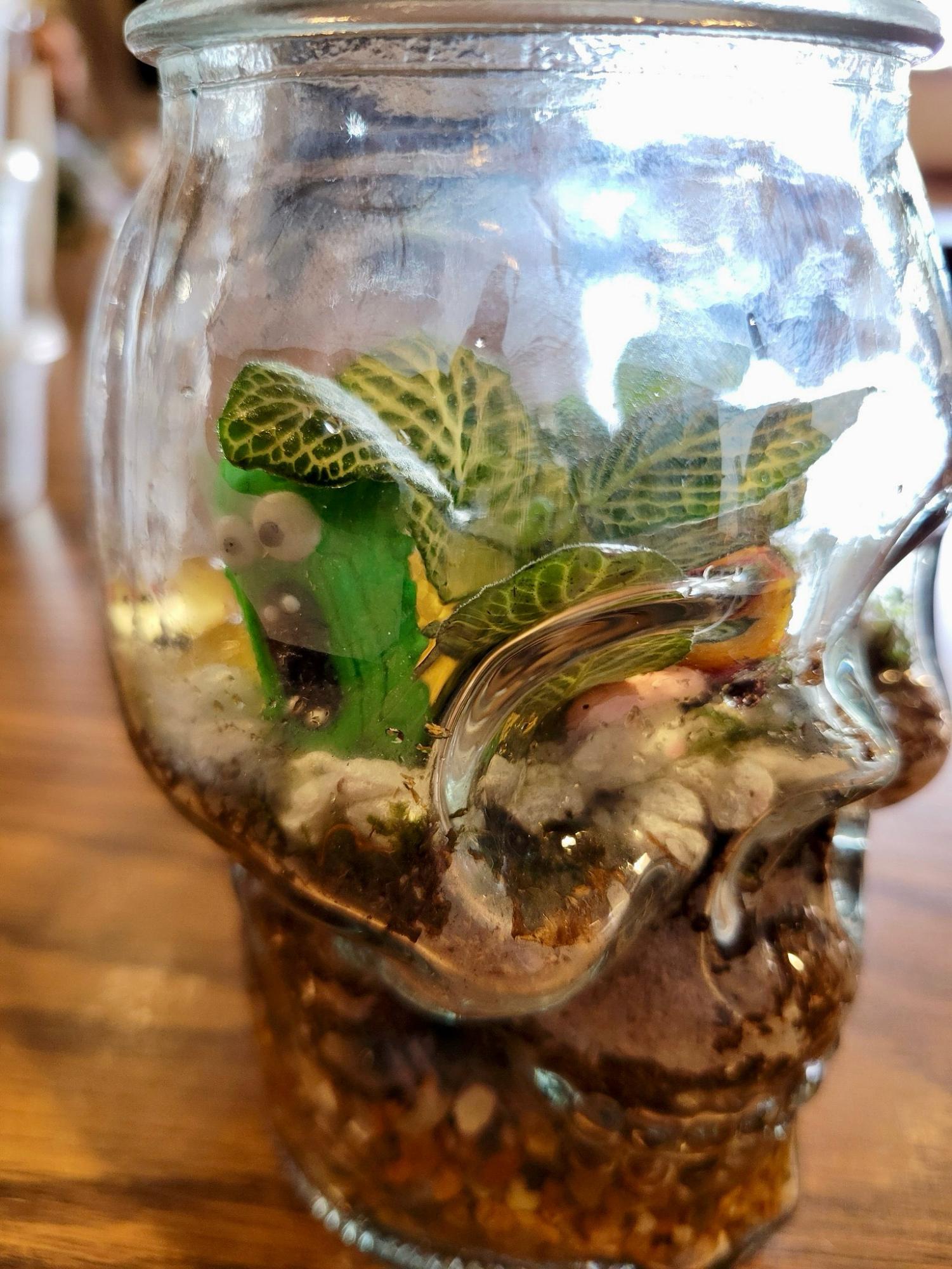 Terrarium Challenge 3
