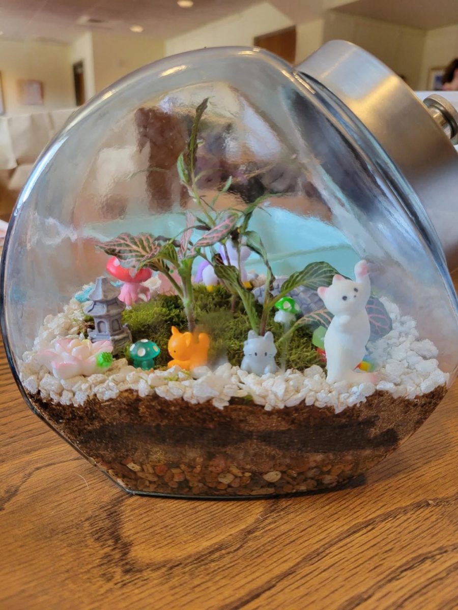 Terrarium Challenge #4