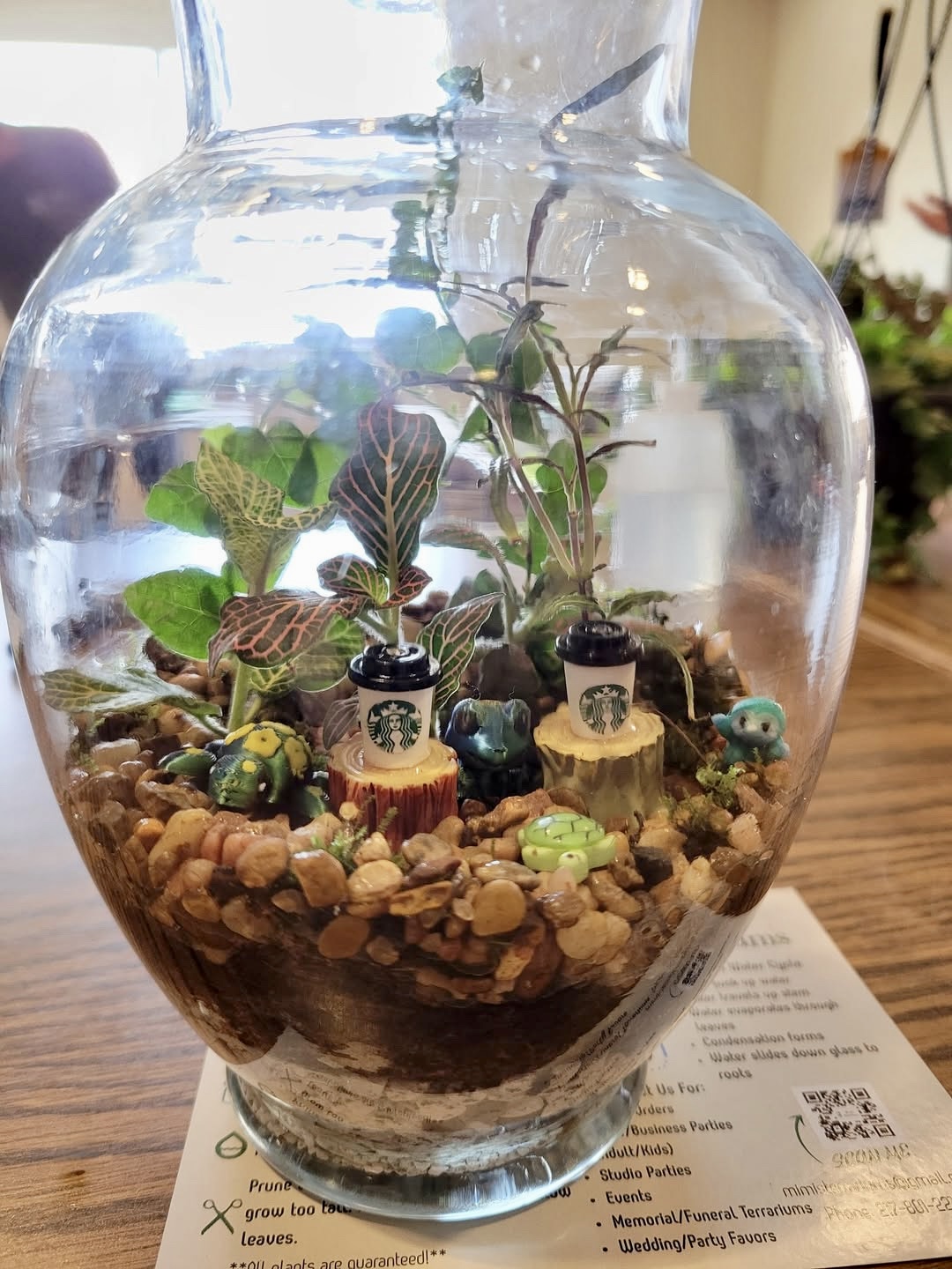 Terrarium Challenge