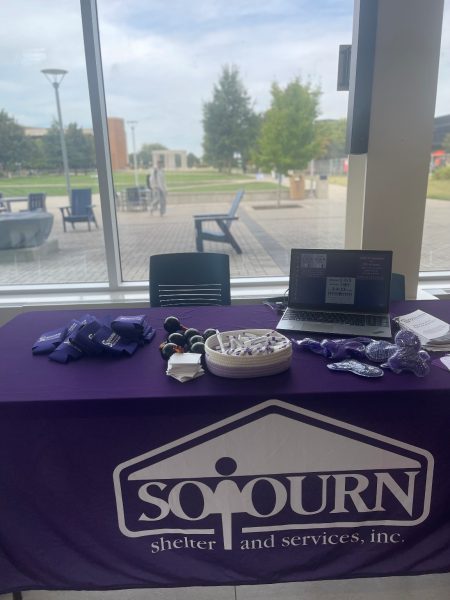 UIS Social Work Club partners with Sojourn Shelter to promote awareness of domestic violence